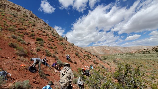 Geology students in the field